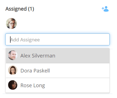 You can also assign someone to manage the Milestone.