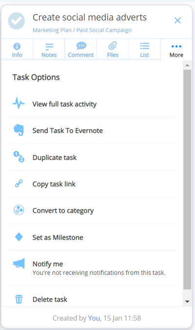 View of the task's More tab.