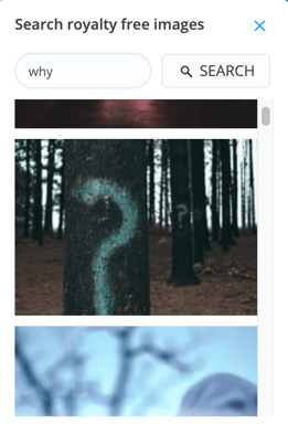 Search unsplash for free high quality images