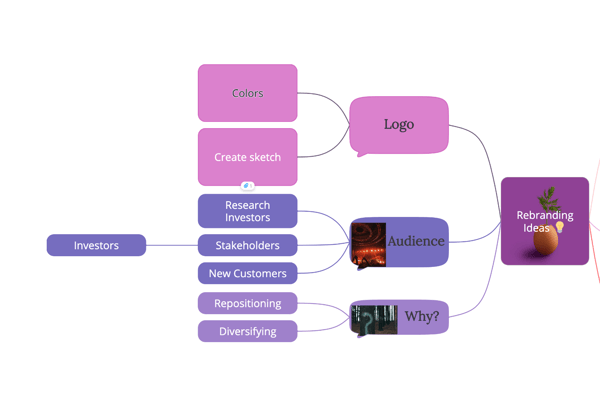 View of the map with edited branches.
