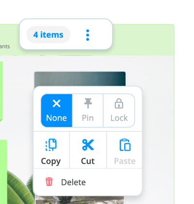 View of the options under the 3-dat icon in the 4 item box.