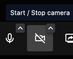 You can turn your camera on or off. 
