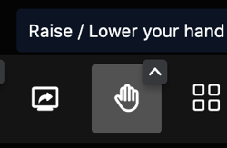Indicate you would like to ask a question