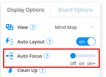 Under the display options the slider for the Auto focus is shown.