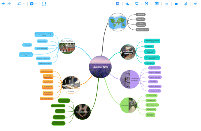 View of the mind map.