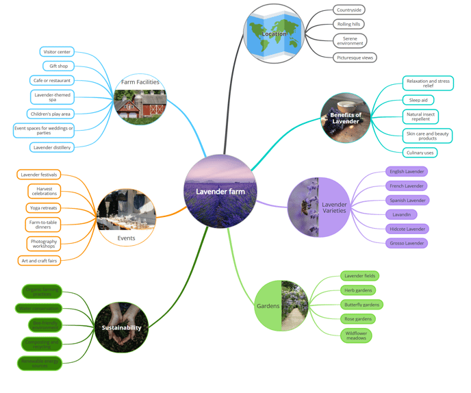 View of the chosen mind map