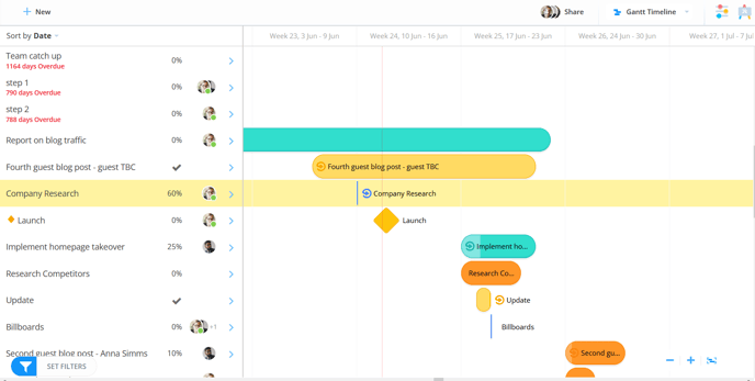 view of the gantt timeline