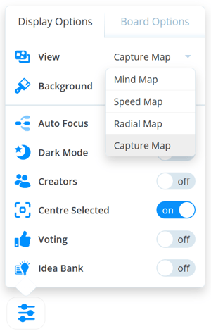 Selected Setting icon with the Display Options.