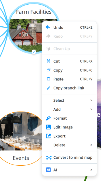 Context menu for the give branch 
