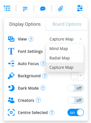 Selected Setting icon with the Display Options.