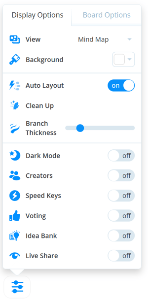 Settings options with opened Display Options tab.