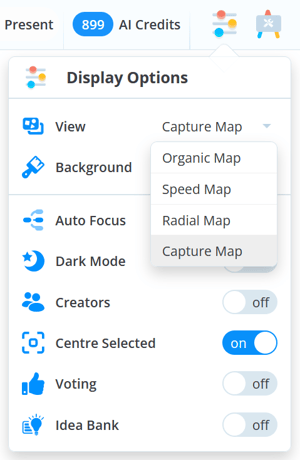 Click display options to switch into different Ayoa map styles
