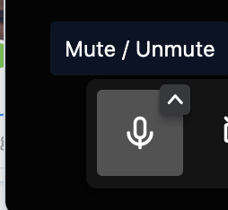 Mute and unmute yourself