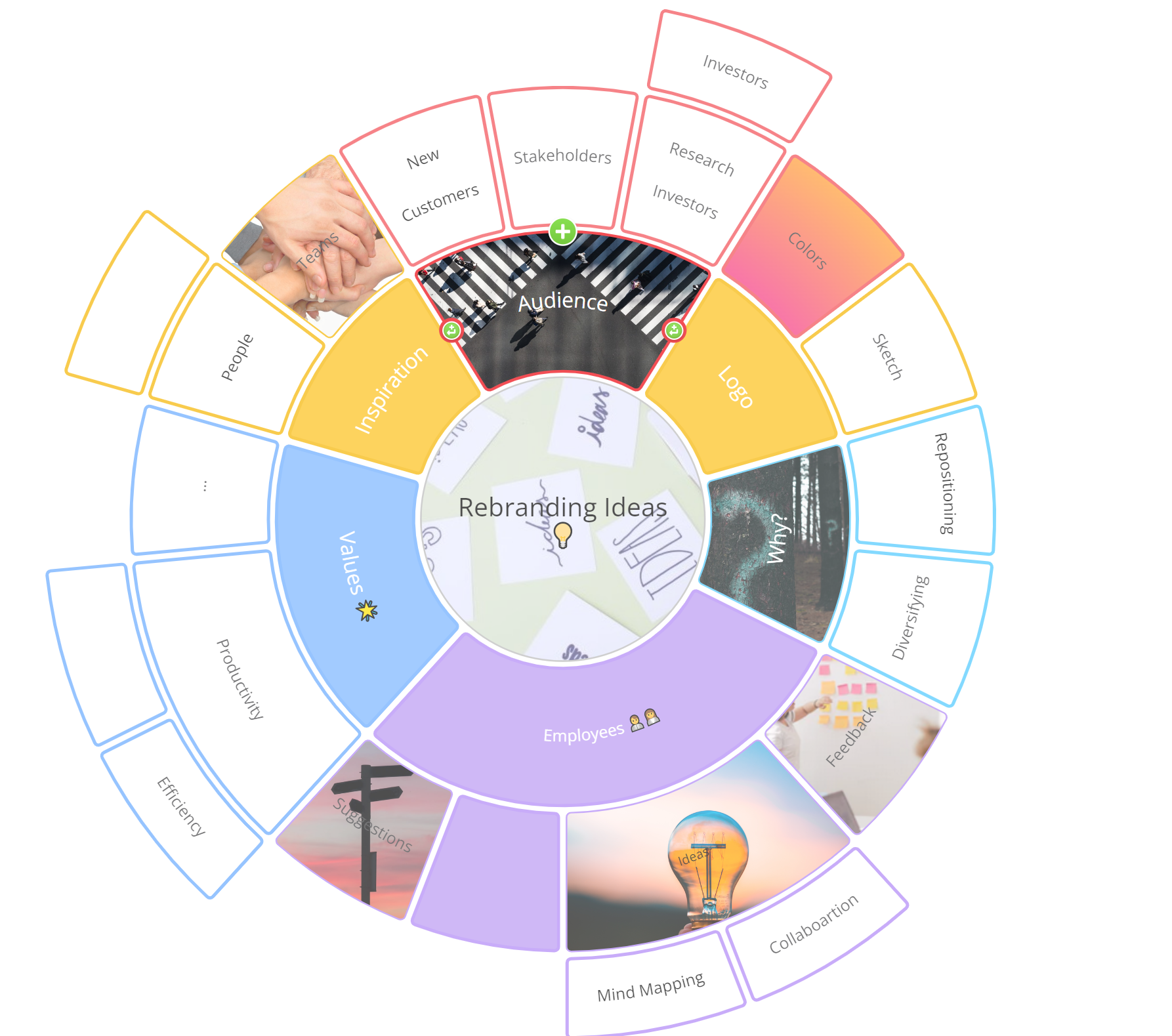 The segment you have selected will appear at the top of the radial map so that is is easier to read and focus on.